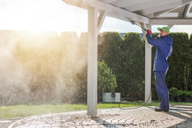Best Dumpster Area Cleaning  in Rock Hill, SC
